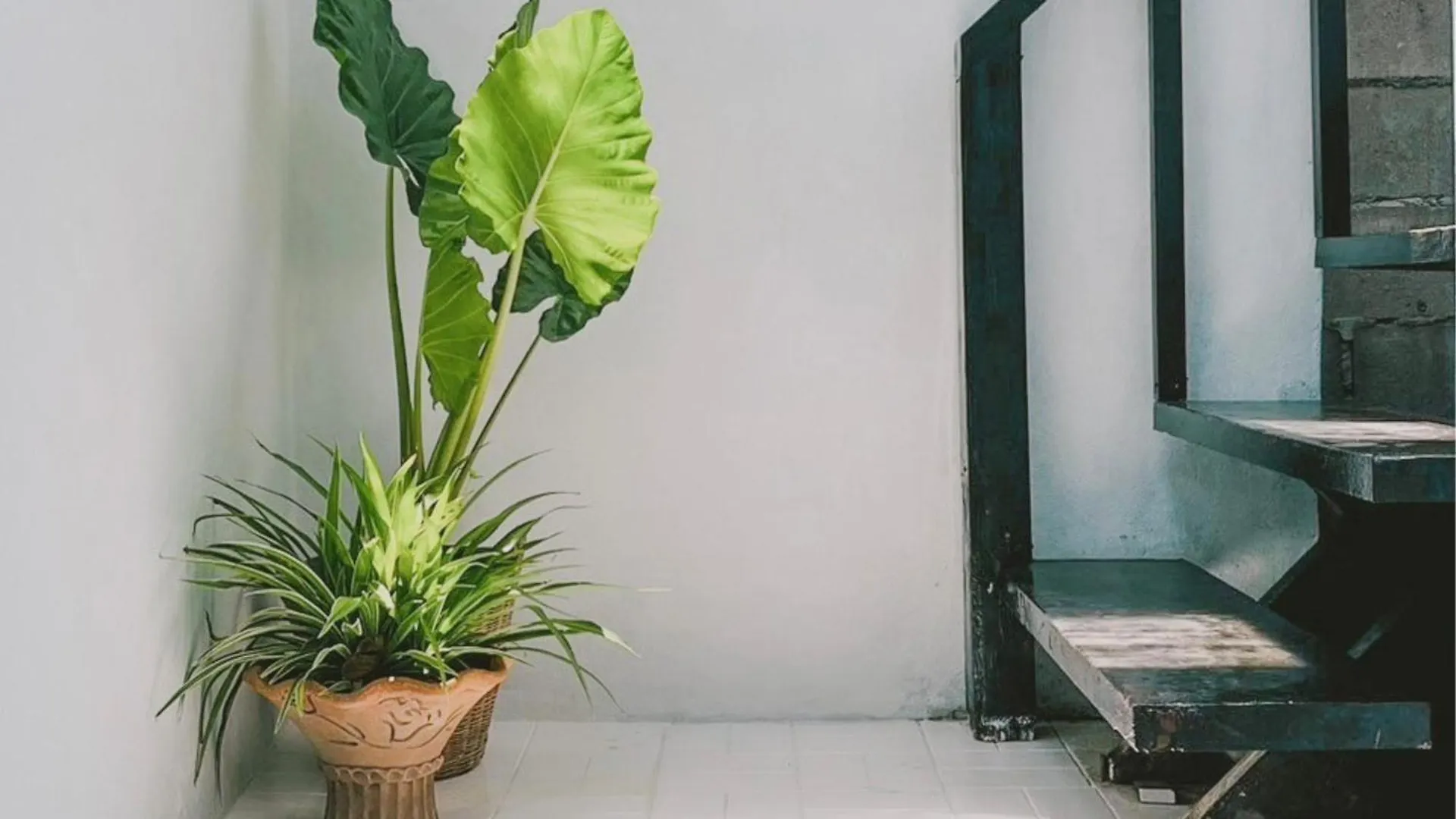 De Coco Hostel Κο Τάο